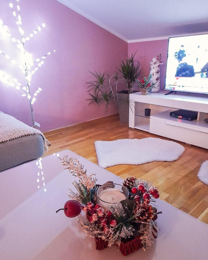 Apartman Japanski Vrt, Centar Vrnjačka Banja المظهر الخارجي الصورة