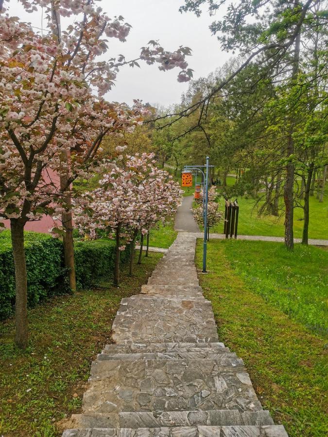 Apartman Japanski Vrt, Centar Vrnjačka Banja المظهر الخارجي الصورة