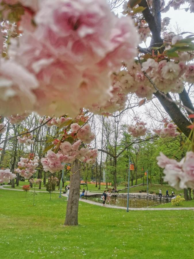 Apartman Japanski Vrt, Centar Vrnjačka Banja المظهر الخارجي الصورة